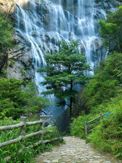 10.17/18/24/25【千泷沟穿越1天】徒步穿越千泷沟大瀑布，行摄万亩竹海