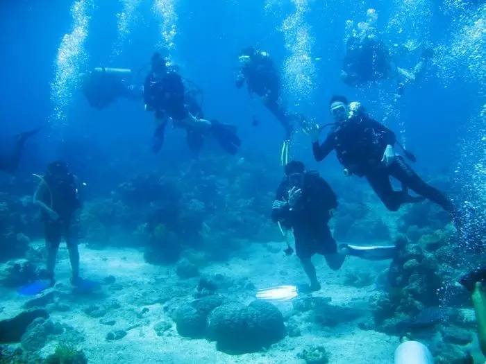 潜水体验丨深圳南澳珊瑚潜水 带您走入神秘的海底世界快艇出海烧烤bbq