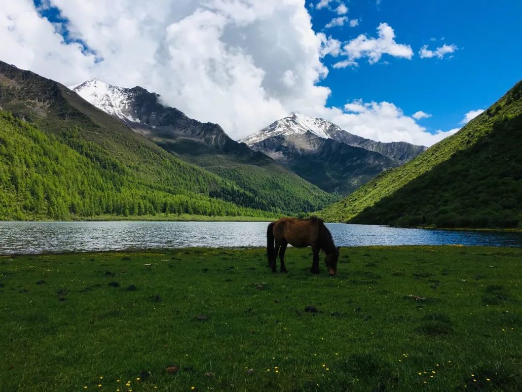 川山越海|四姑娘山海子沟(花海子,犀牛海)徒步露营