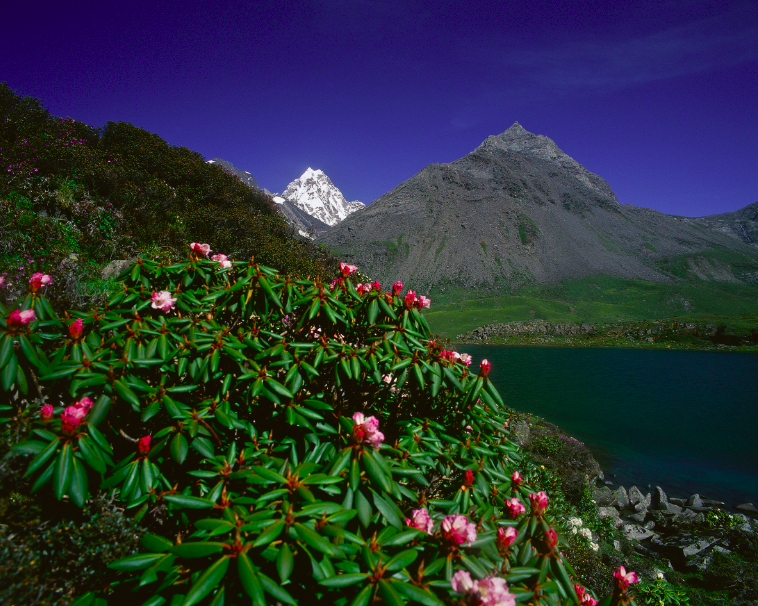 去四姑娘山看海「八角棚海子3日线路」