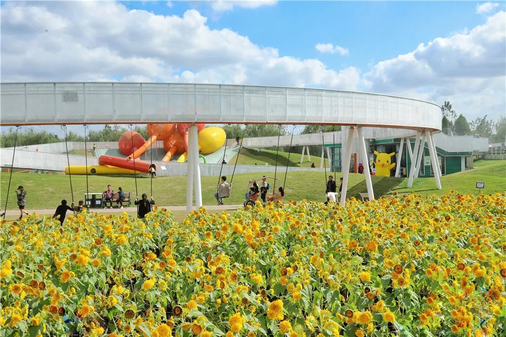 【10.1天天发】158元:荷兰花海 水韵龙湾,一日游