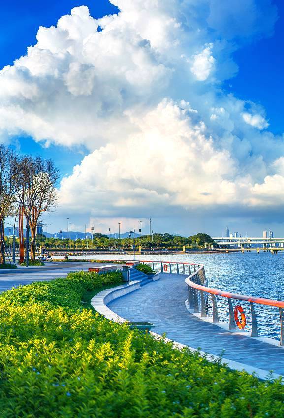 3月3日|趣蘑菇2019第二届"趣徒深湾"深圳湾亲子徒步活动