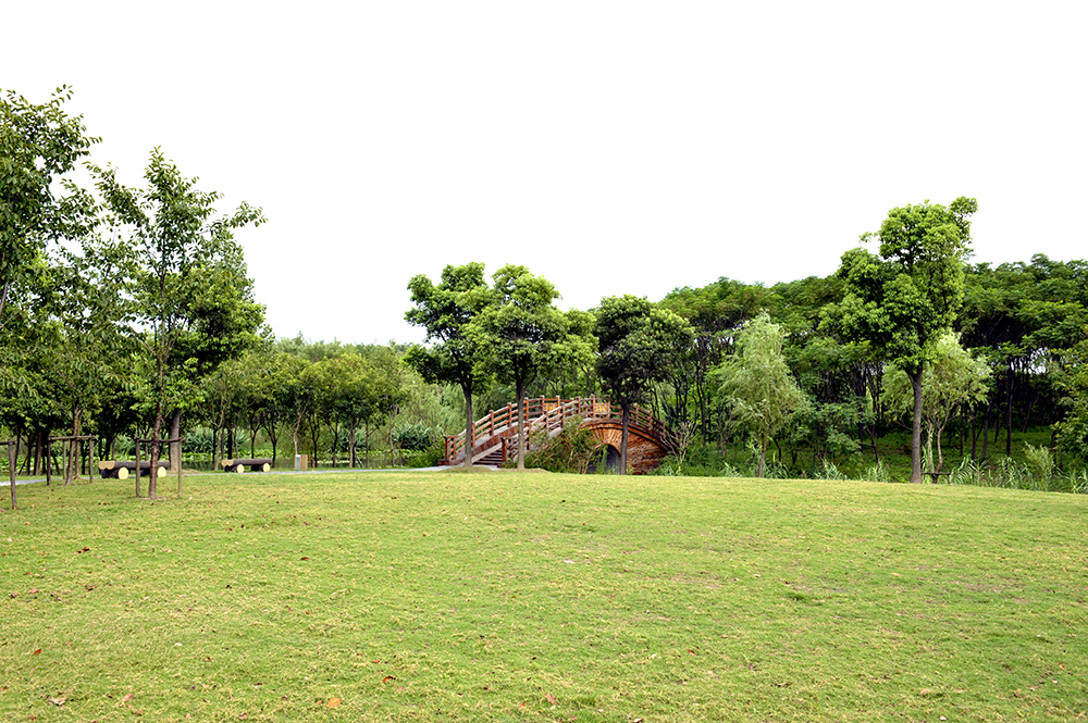 上海市顾村公园简介 - 国龙体育