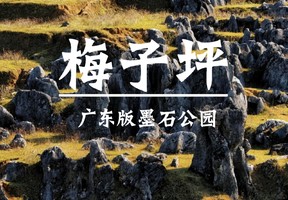成团了，1.10周六【梅子坪石林】广东版“墨石公园”，梅子坪超震撼的黑色石林。