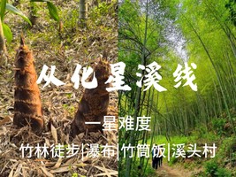 4.25周六【竹林瀑布+竹筒饭】转发后59元起，从化星溪线吃 竹筒饭 看大瀑布 古村烟火集市