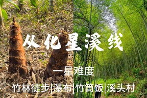 成团了，4.19周日【竹林瀑布+竹筒饭】69起，从化星溪线吃 竹筒饭 看大瀑布 古村烟火集市