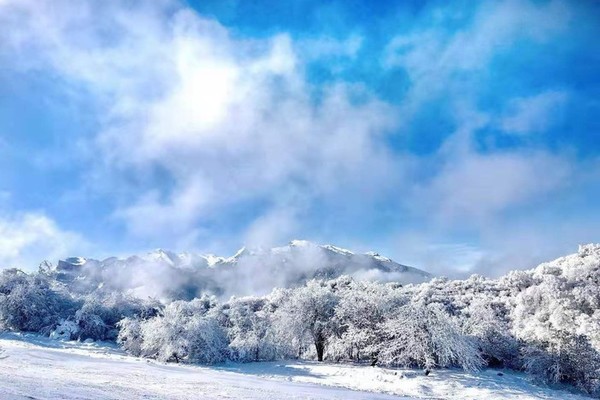 【天府北门户外】1.1超美小众耍雪圣地之*九顶山登顶坪不要门票。老少皆宜。