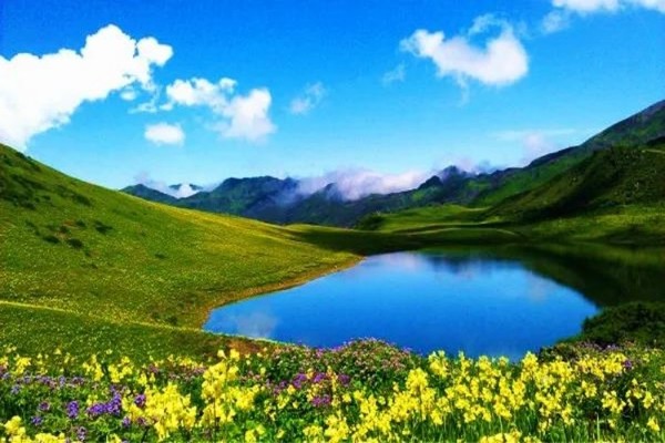 【天府北门户外】6.5周四九顶山黑龙池~漫步天空花海，一日往返打卡天神后花园
