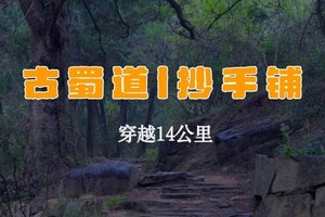 【北门户外携手劲浪体育】4.1或4.5 千年古柏成林，徒步金牛古道精华段（古蜀道l抄手铺）穿越14公里