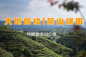 【北门户外携手劲浪体育】4.2*名山大地指纹l茶山梯田*浅丘梯地漫步最美茶乡