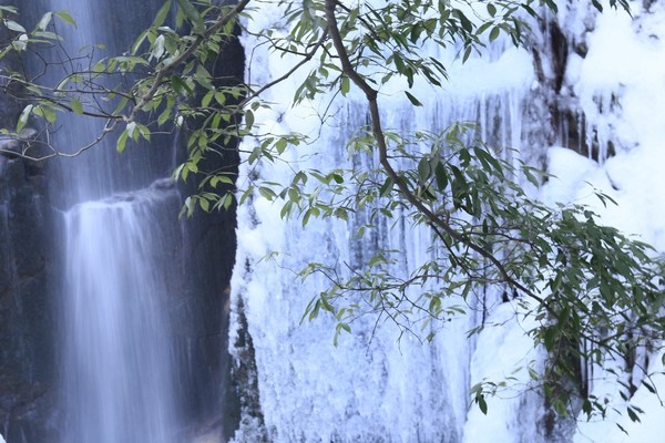 【已成团，空位不多】12.3追雪莫干山，感受冬天的味道
