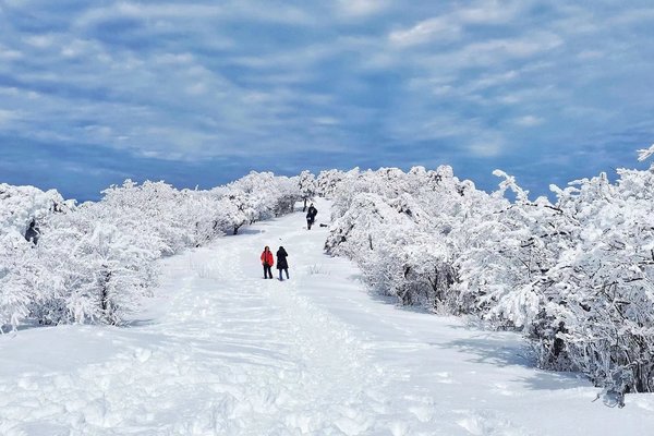 已成团空4！摄影师带团！【追雪·龙王山】12.23徒步龙王山脊，俯览节理峰，千山暮雪，冰封千里！