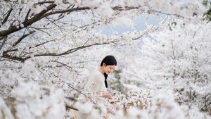 【特价299】3.28-29休闲万亩樱花海，探寻越剧小镇；粉染山谷，樱绽仙天，寻觅清潭坑世外桃源~