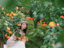 【南北湖+橘子采摘+西塘古镇】 11.8徒步穿越南北湖，夜游西塘古镇，感受多彩的江南水乡~