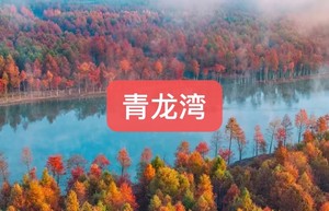 已成团空7！特价360元【12.6-12.7】不赶行程！安徽宁国小川藏青龙湾水杉拍摄+水东老街慢游·2天1夜腐败团