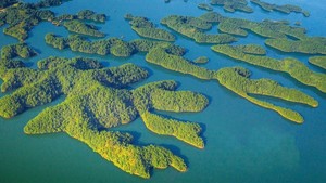 千岛湖门票免费【特价300元/人】12.13-14休闲骑行千岛湖精华段，船游中心湖，登梅峰一览千岛