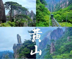 【特价500元/人】12.20-21黄山两天一夜赏奇石劲松，登顶黄山看日出云海风起云涌
