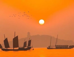 12.20 无锡一日·鸥遇橘海与古街慢游