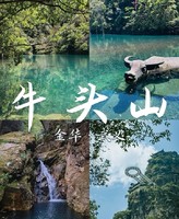 【飞狮年会福利特价299元】1.31-2.1武义牛头山-温泉-清风寨两天一夜森泉漫游·2026跨年户外之旅