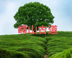【1号线：世-上-松】5.16嵊州嶀山古道，从南塘烟火到老外滩晚风