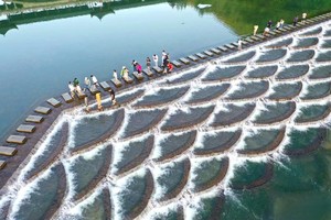 7.4特价188元含漂流票，超火线路富阳网红龙鳞坝+绍兴峡谷漂流，清凉戏水，放纵一夏~