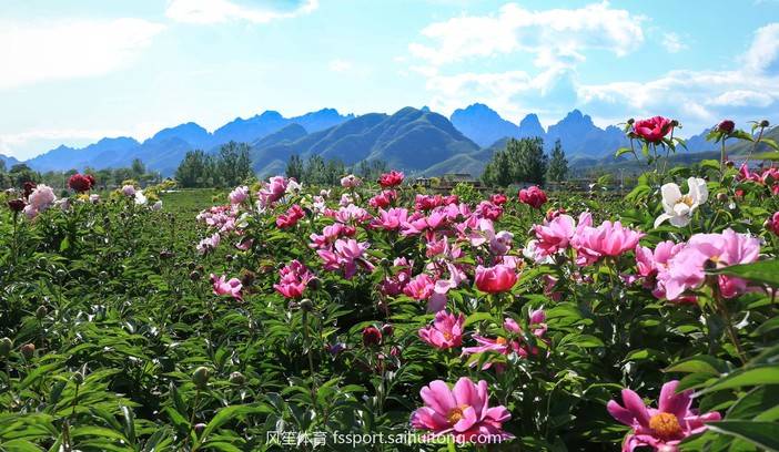 2018京津冀户外运动挑战赛(保定易县·狼牙山站)在万亩花海中骑行和