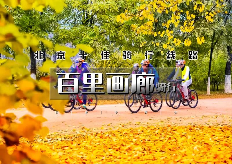 ▌▌印象头图.jpg