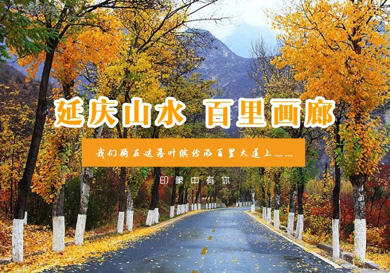 1头.jpg