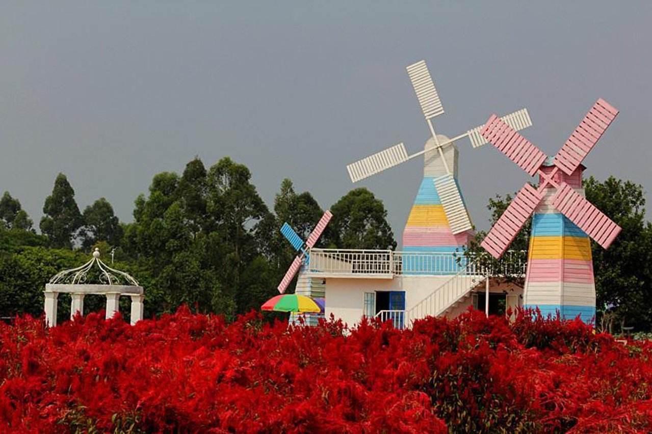 东莞浪漫松山湖骑行,梦幻百花洲赏花1天游
