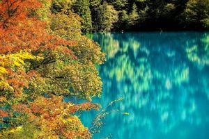 【大美九寨-6天】8人纯玩小团 ，九寨沟+黄龙+四姑娘山双桥沟+理小路+卧龙中华大熊猫苑+松潘古城 6日轻奢慢游