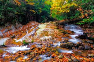 【大美光雾山-5天】金秋红全景游  赠恩阳船说演出 · 15人即升级保姆车。