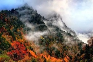 【金秋-奶子沟-2天】给你最好的体验，八十里彩林连天，看现实中的油画世界如何演绎秋天的童话。