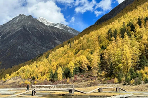 【理小路+四姑娘山-2天】闭眼冲！深秋川西，一线双景，这里已经美成童话模样。