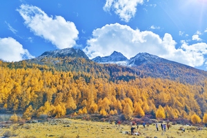 【理小路+四姑娘山-2天】闭眼冲！深秋川西，一线双景，这里已经美成童话模样。