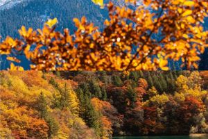 【秋色|九寨沟天母湖-2天】秋染山海，双境寻幽！两日漫游，解锁川西最治愈的秋日秘境。