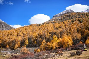 【初秋|理小路-1天】四川自己的独库理小路！雪山环绕绝美公路，绝美秋色，轻松打卡精华景点全览。