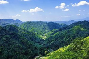 【每周特惠58元|鸦雀口-1天】彭州鸦雀口、小众丛林野趣徒步！
