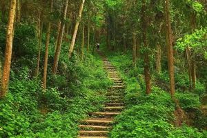 【每周特惠58元|鸦雀口-1天】彭州鸦雀口、小众丛林野趣徒步！
