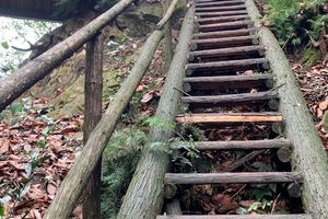 【每周特惠58元|鸦雀口-1天】彭州鸦雀口、小众丛林野趣徒步！