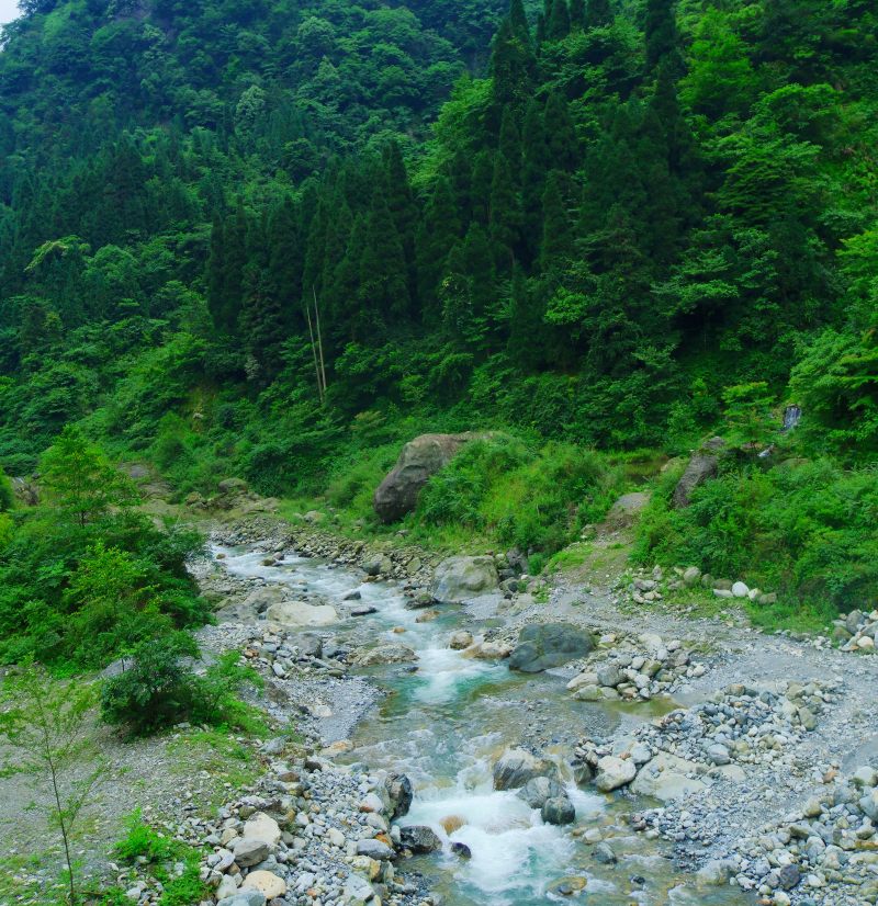 DSCF7265.JPG