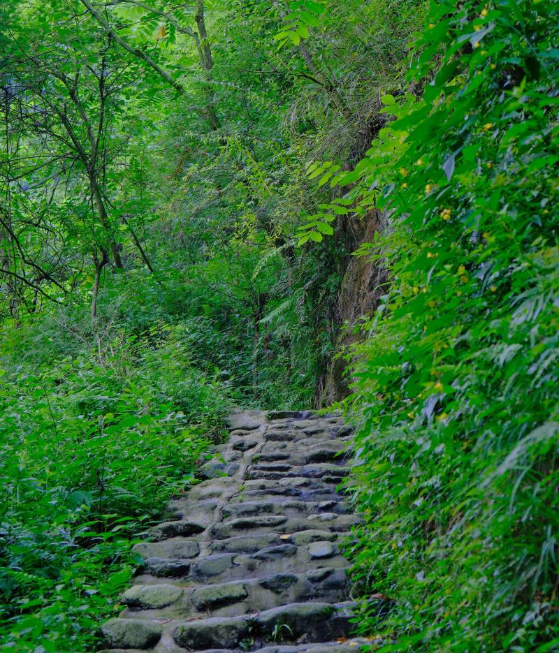 DSCF7228.JPG