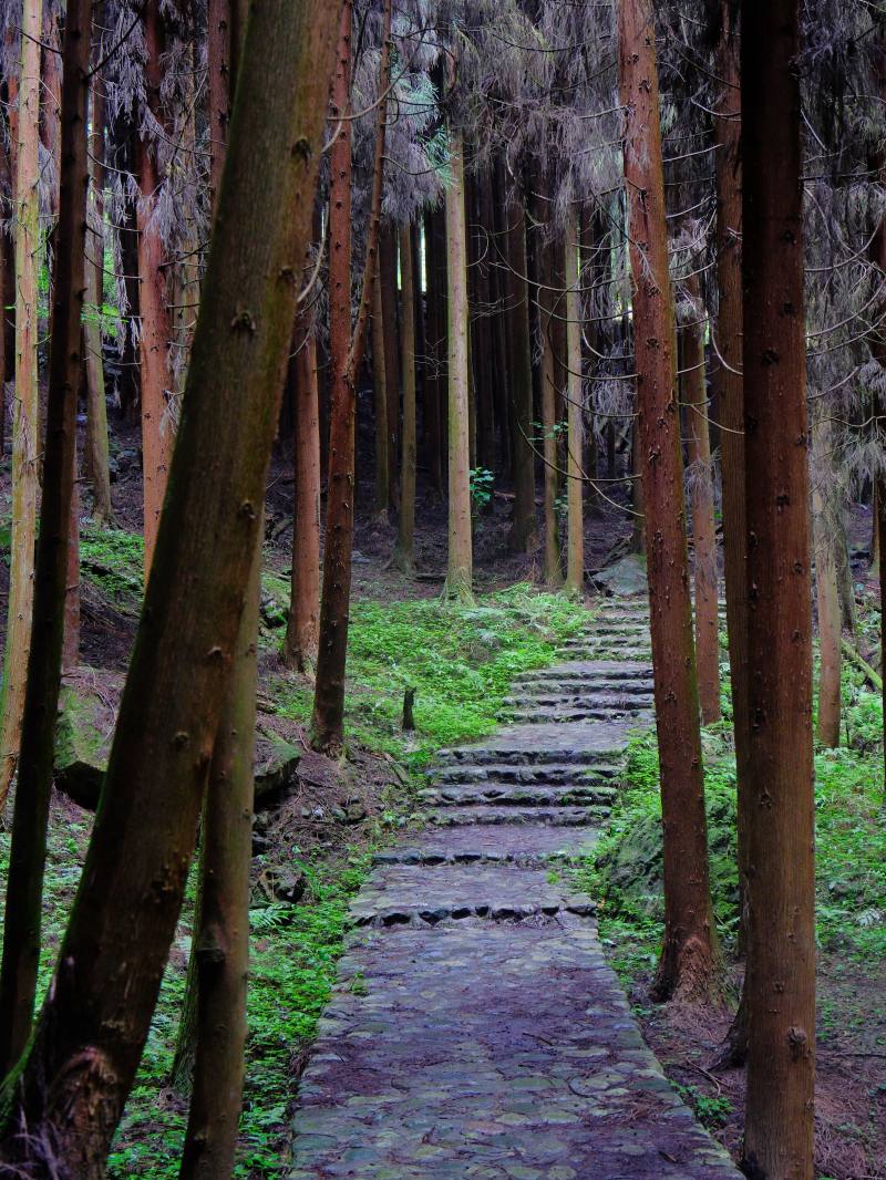 DSCF7272.JPG