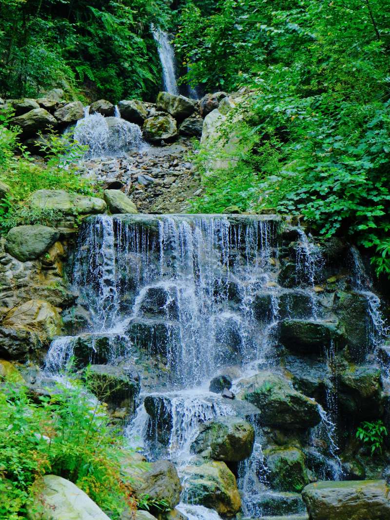 DSCF7243.JPG