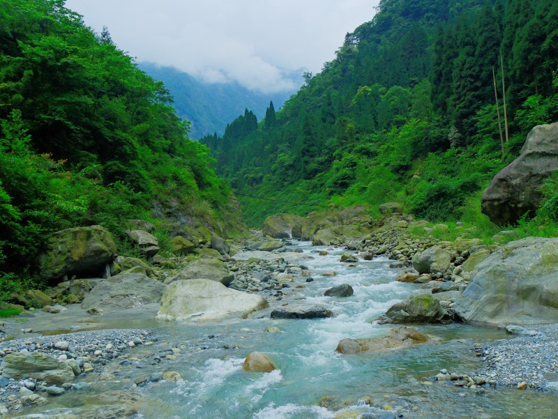 DSCF7255.JPG