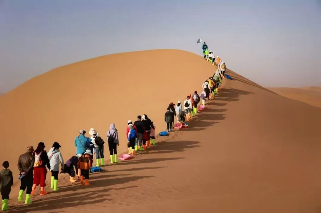 543848006b379f745cbe36e1f422fd16.jpg
