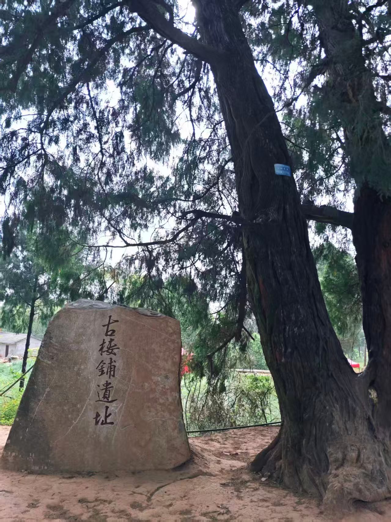 微信图片_20260420113324.jpg