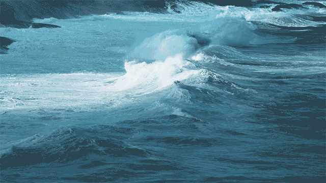 1598506834907768.gif timg.gif