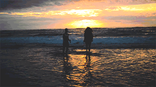 1598506906724488.gif timg (1).gif