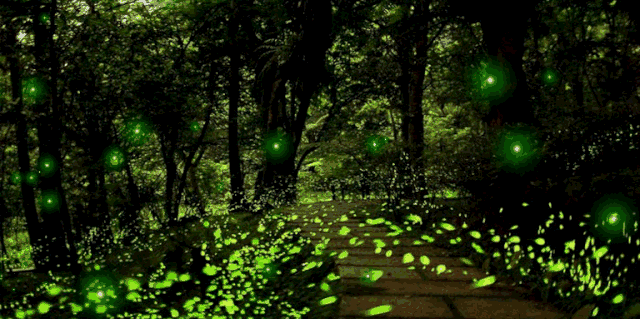1650601325413314.gif 微信图片_20220422122201.gif