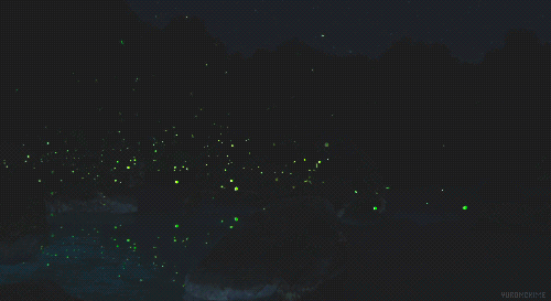 1594957560488192.gif 微信图片_20200717114553.gif